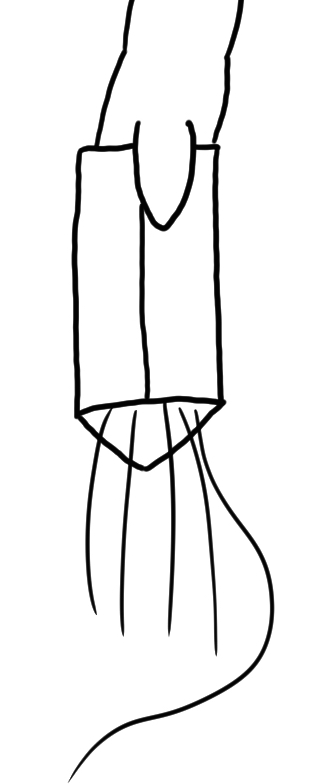 pe_satu